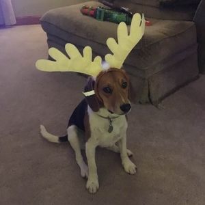 Meet your Posher, Kait